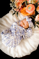 Charlotte's Arrival <3